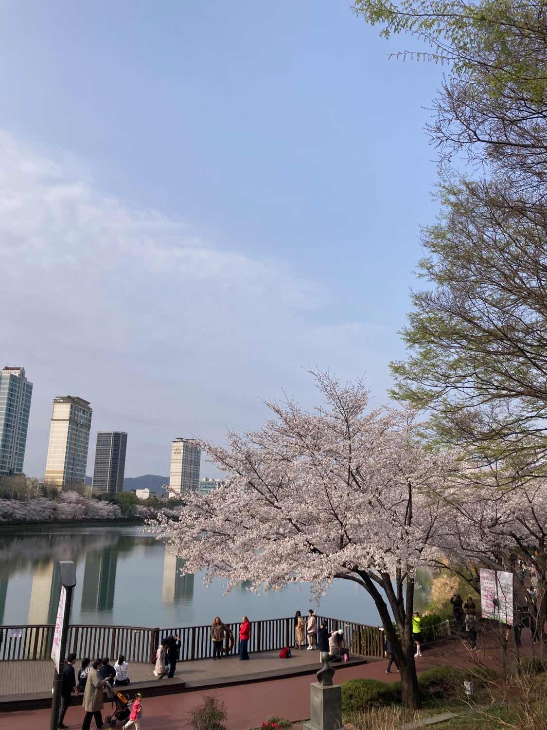 포스트 썸네일 4610