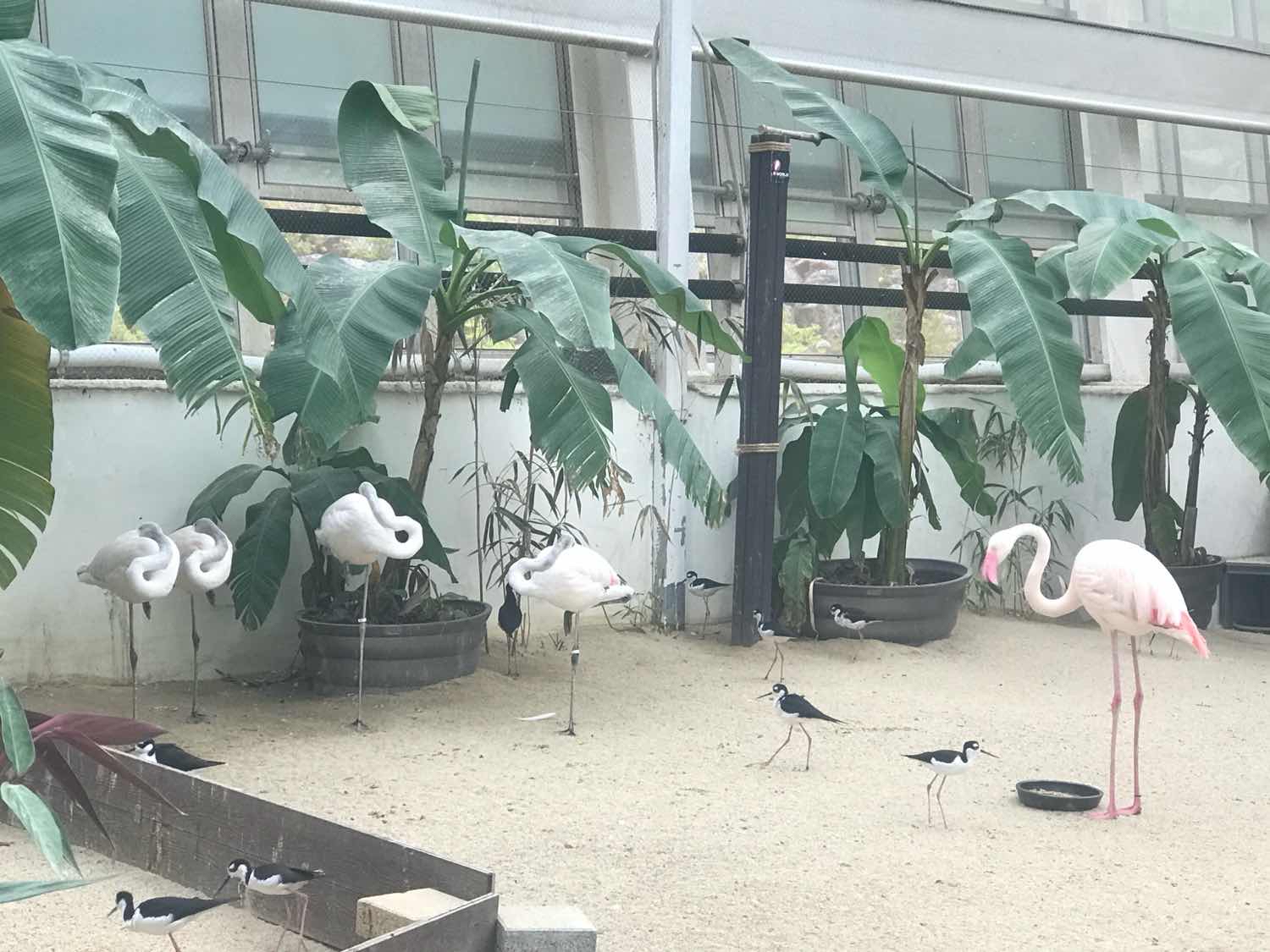 포스트 썸네일 4604