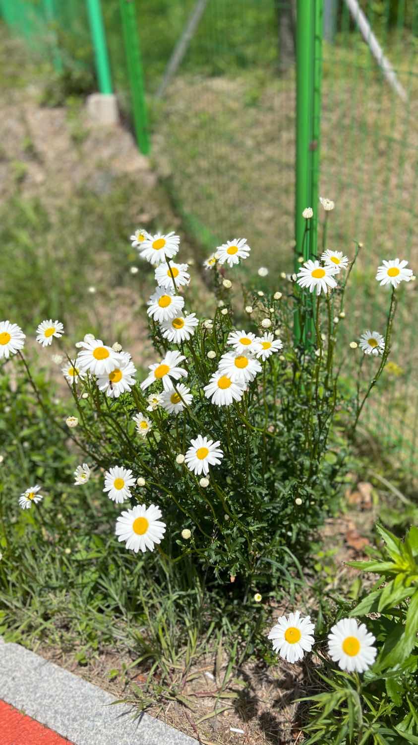 포스트 썸네일 5209