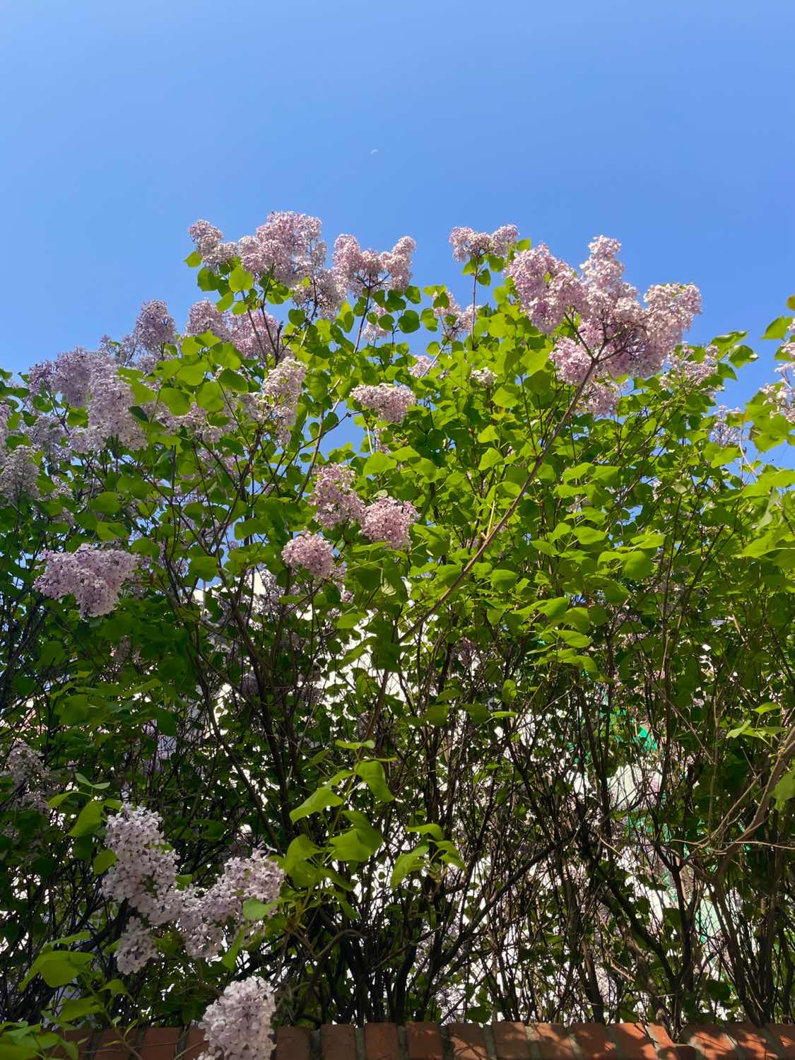 포스트 썸네일 5208