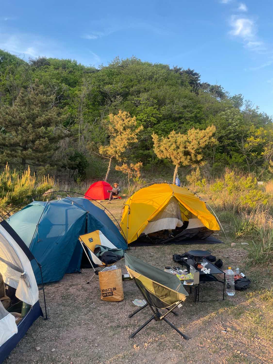 포스트 썸네일 5554