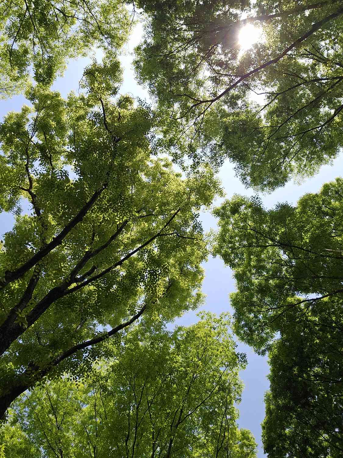 포스트 썸네일 5219