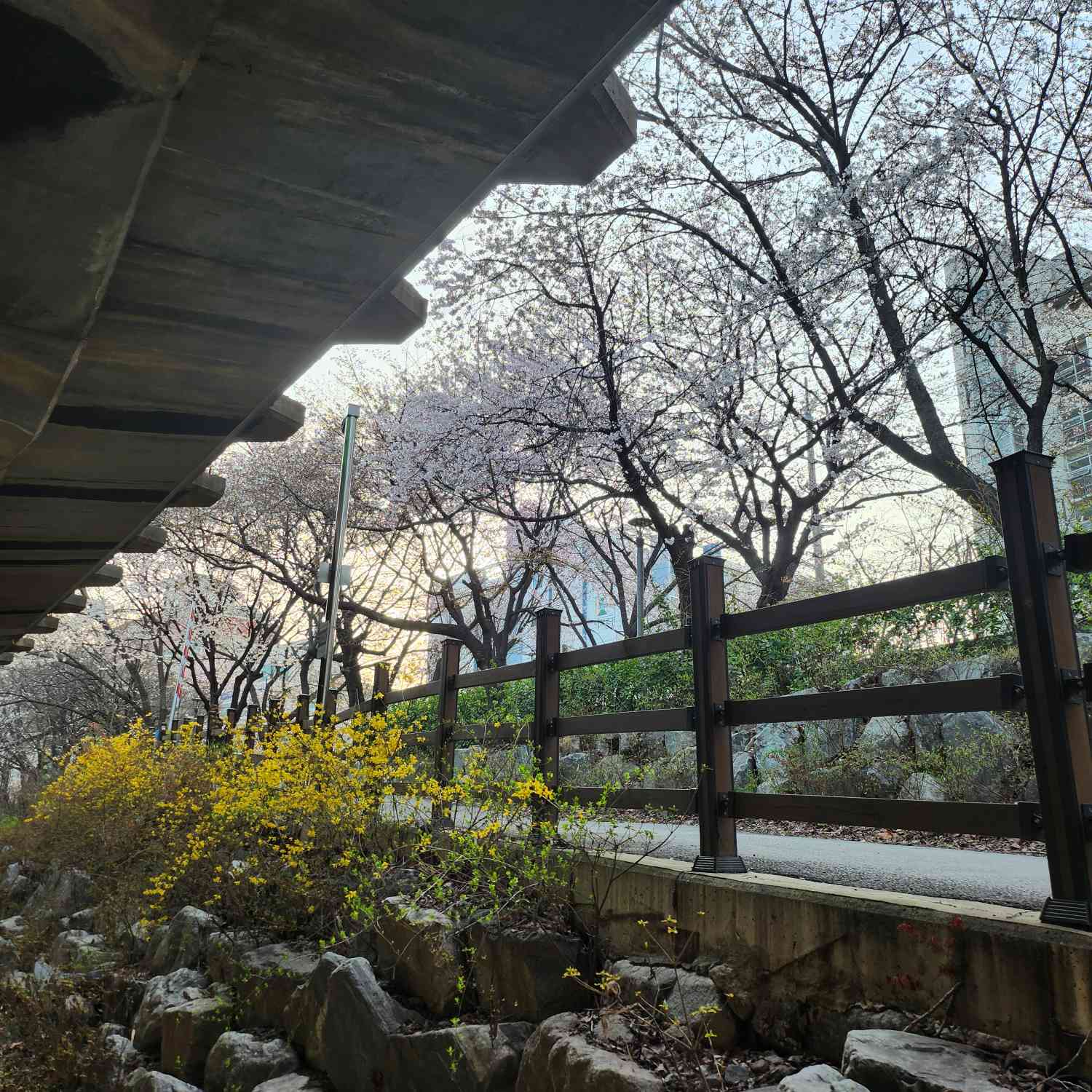 포스트 썸네일 4560