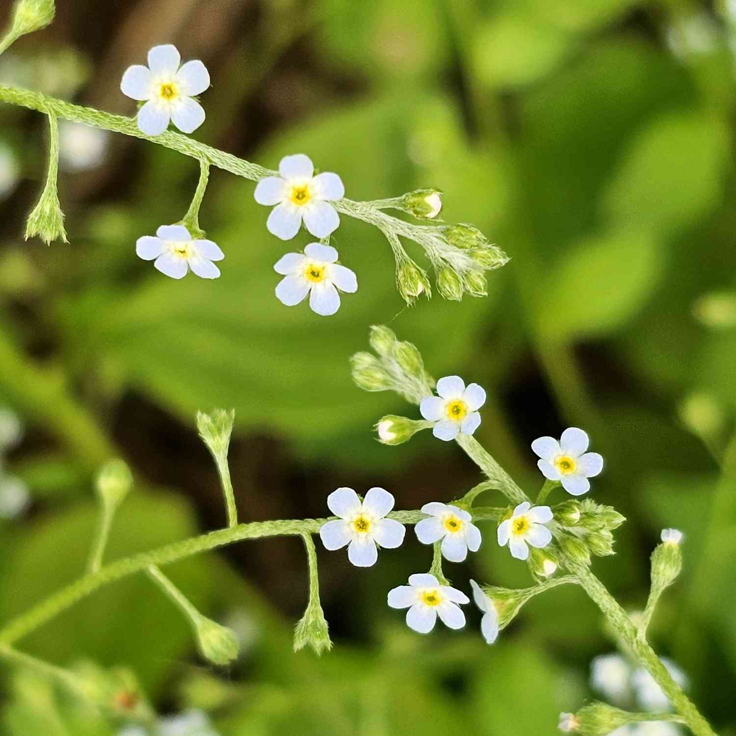 포스트 썸네일 5210