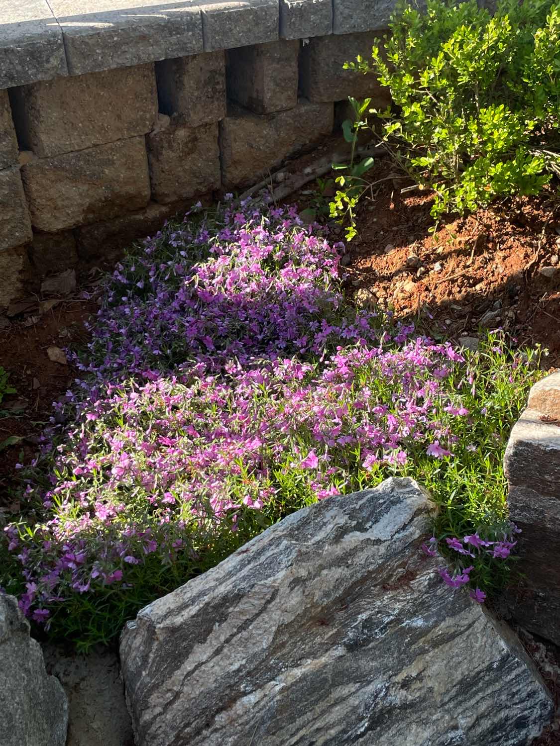 포스트 썸네일 5217