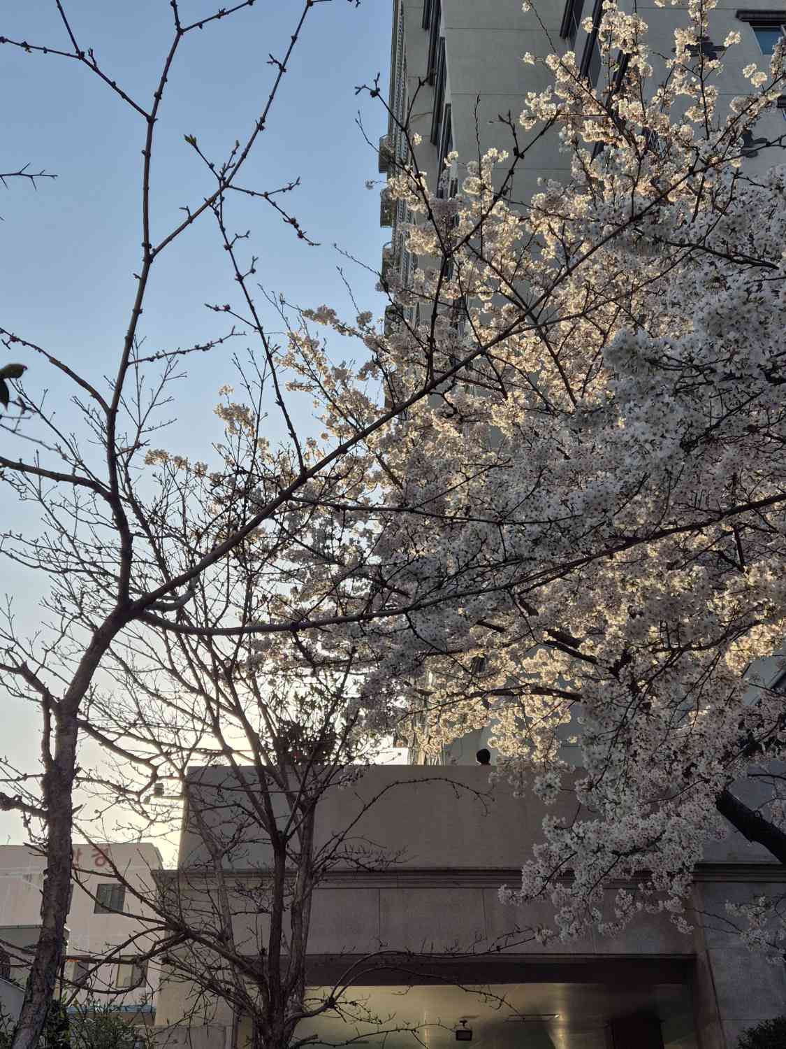 포스트 썸네일 4561