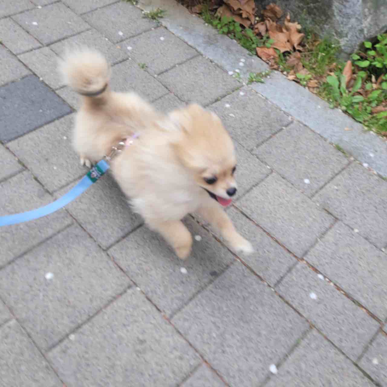 포스트 썸네일 146