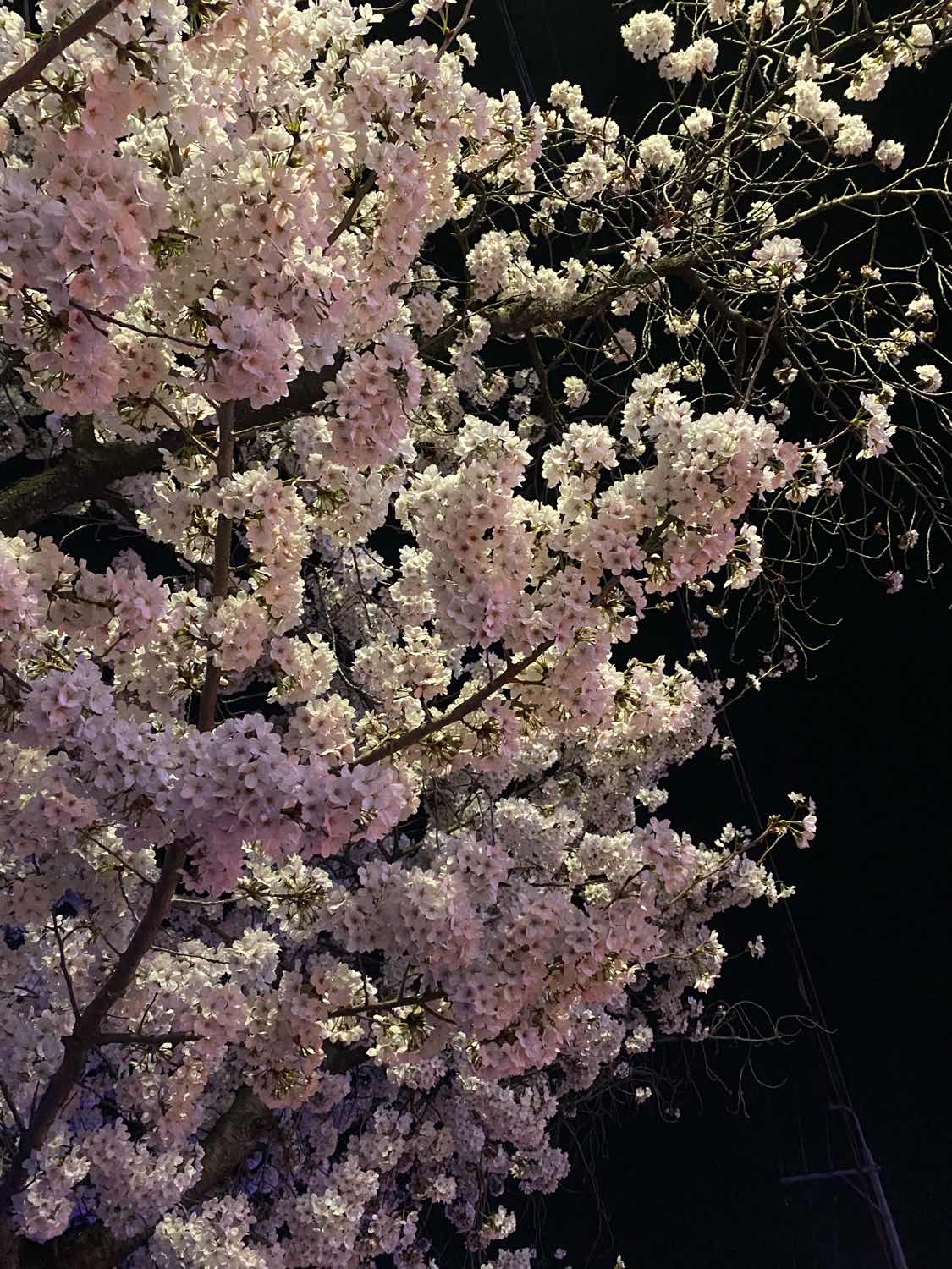 포스트 썸네일 4565