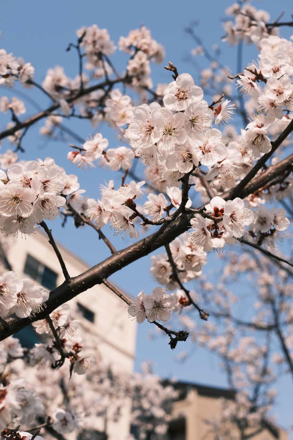 포스트 썸네일 4570