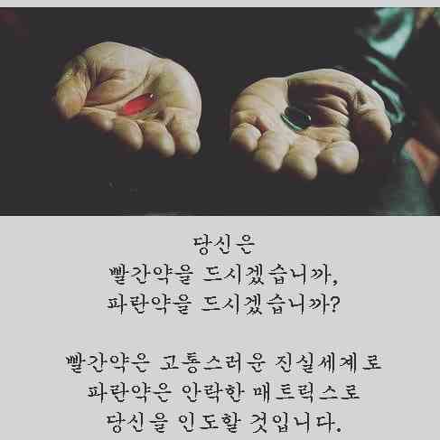 포스트 썸네일 1473