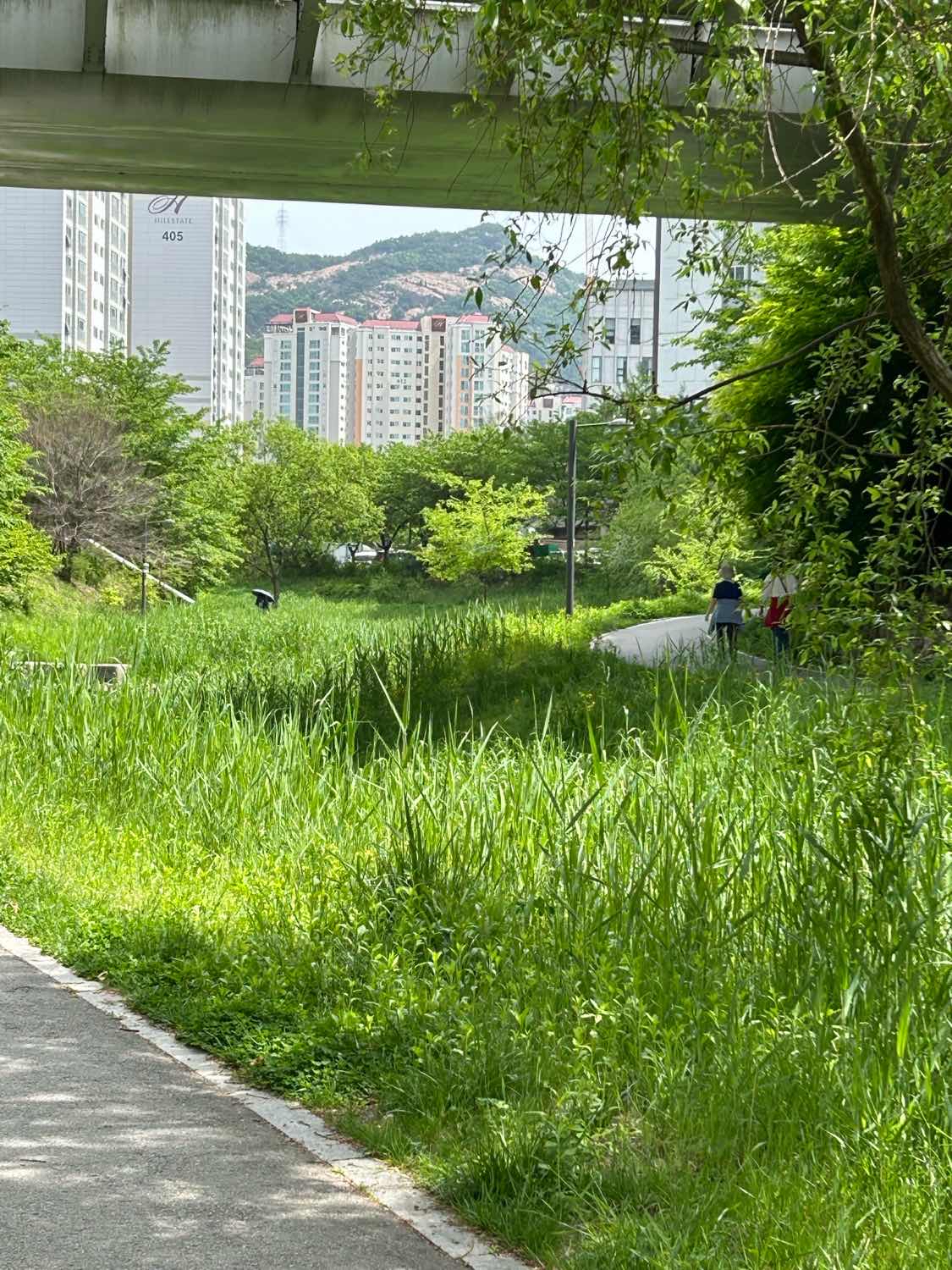 포스트 썸네일 5335