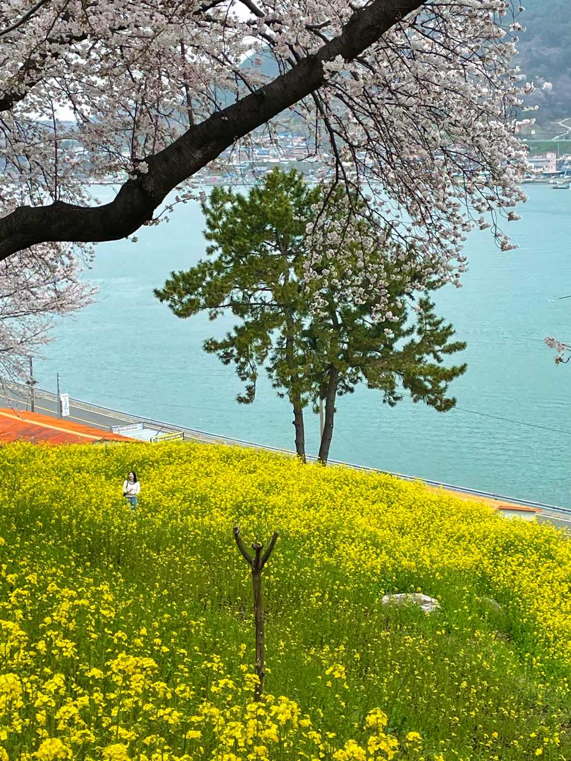 포스트 썸네일 4574