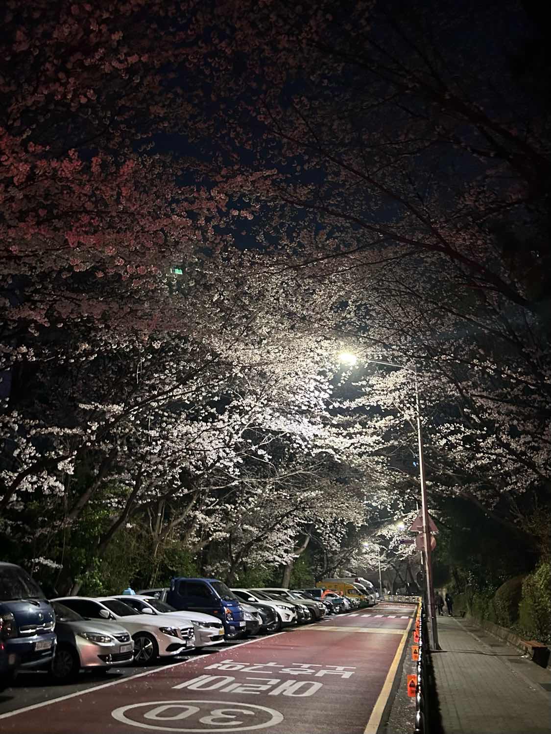 포스트 썸네일 4572