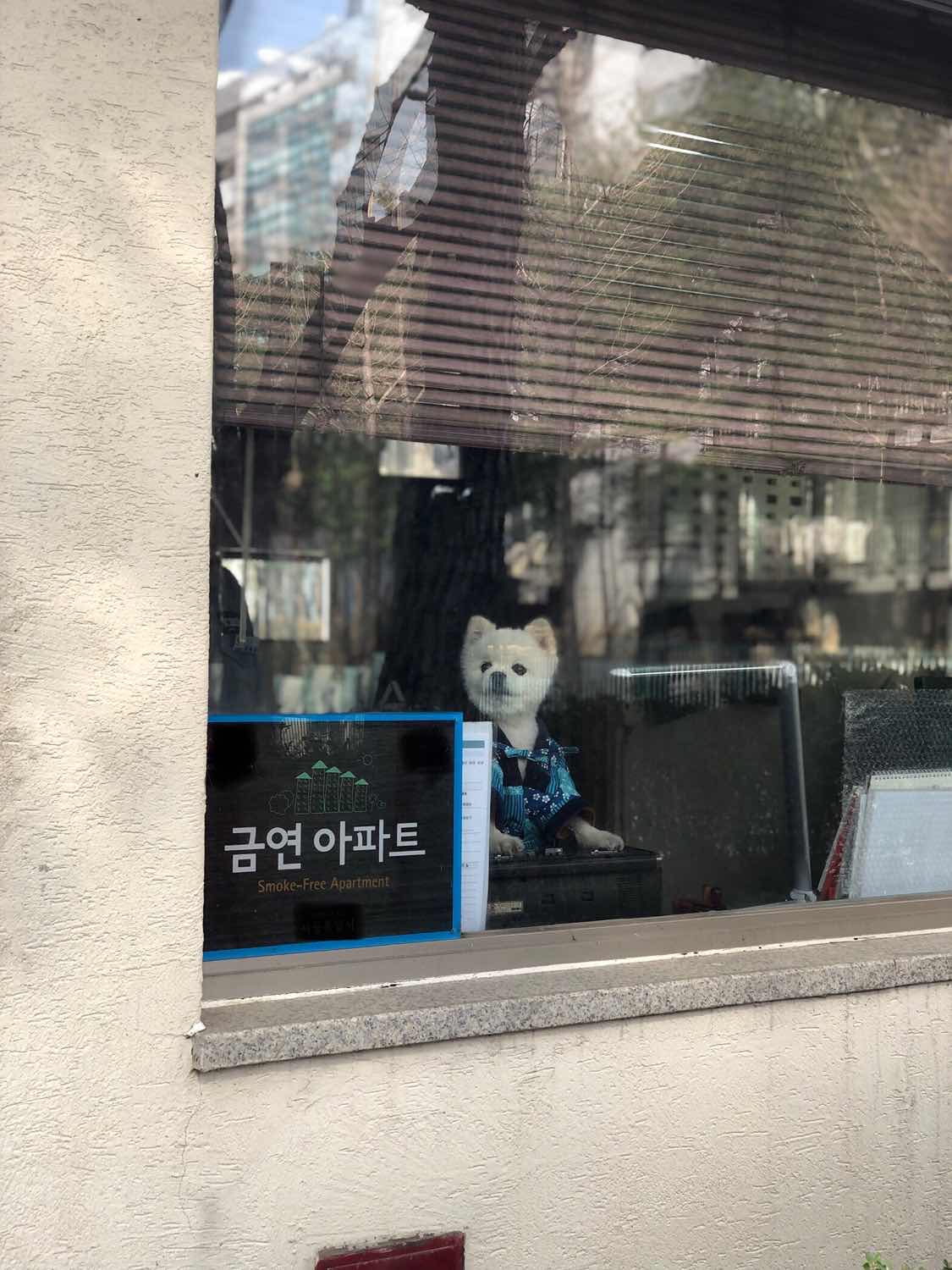 포스트 썸네일 4354