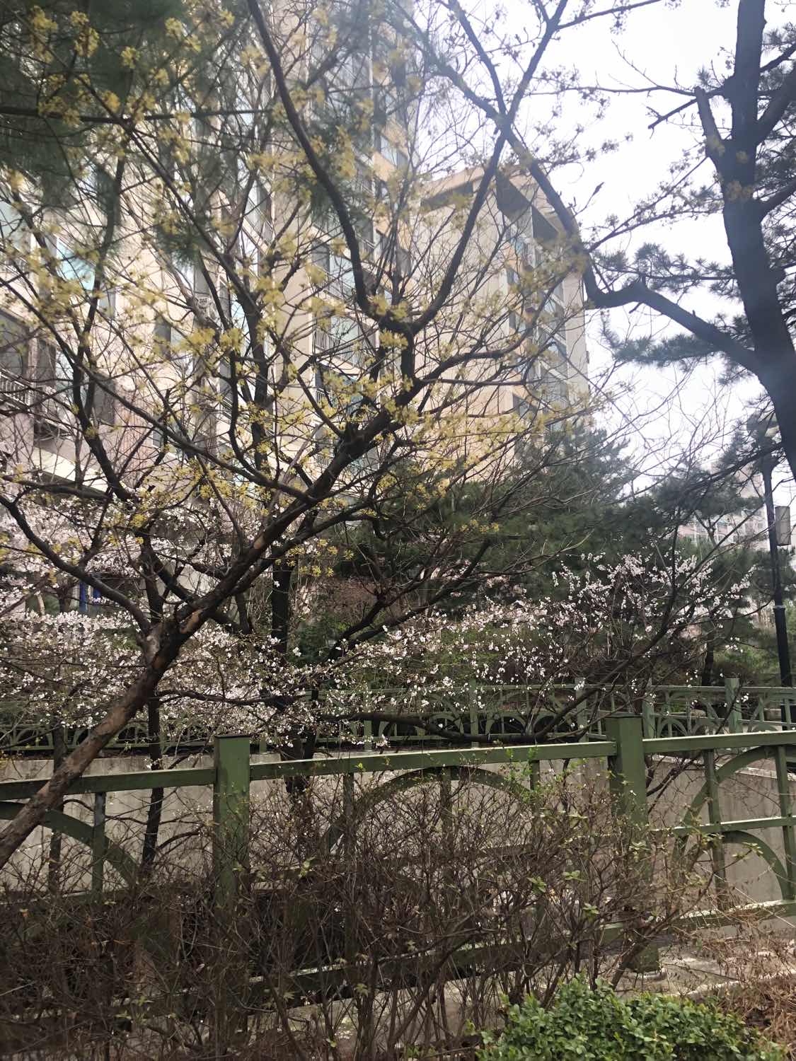 포스트 썸네일 4579