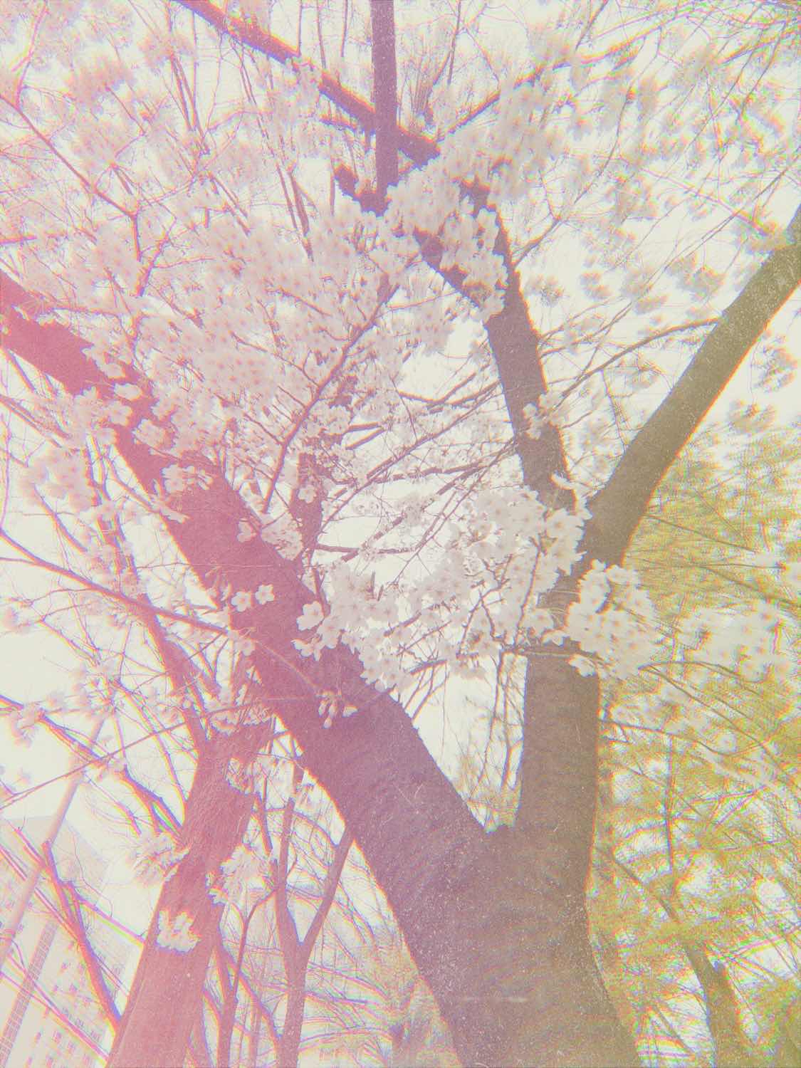 포스트 썸네일 4580