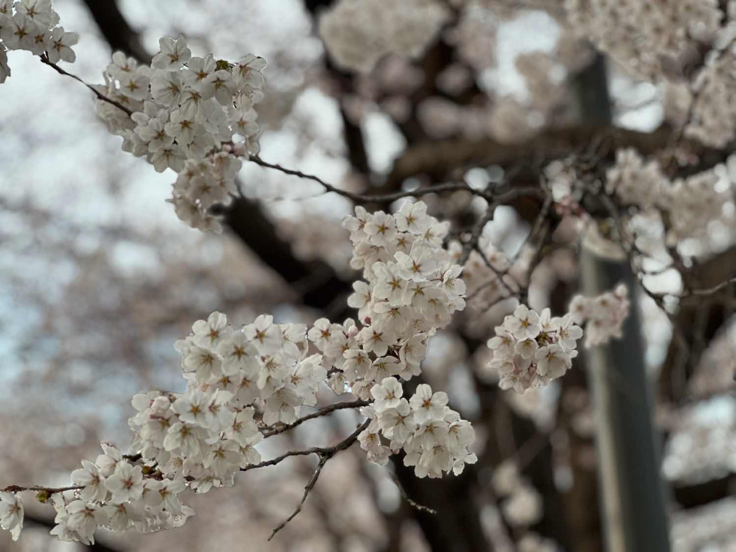 포스트 썸네일 4557