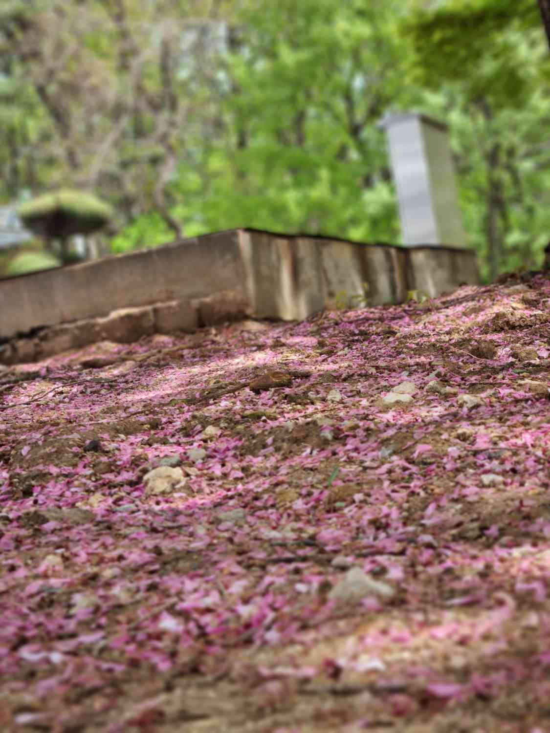 포스트 썸네일 5211
