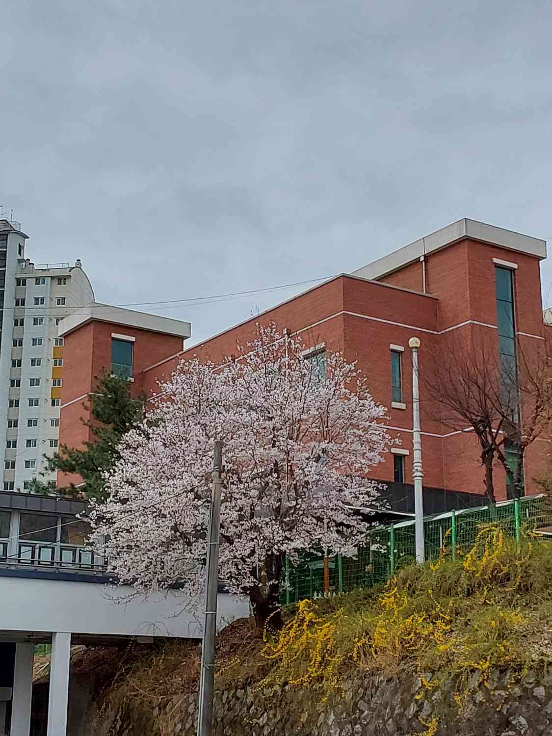 포스트 썸네일 4605