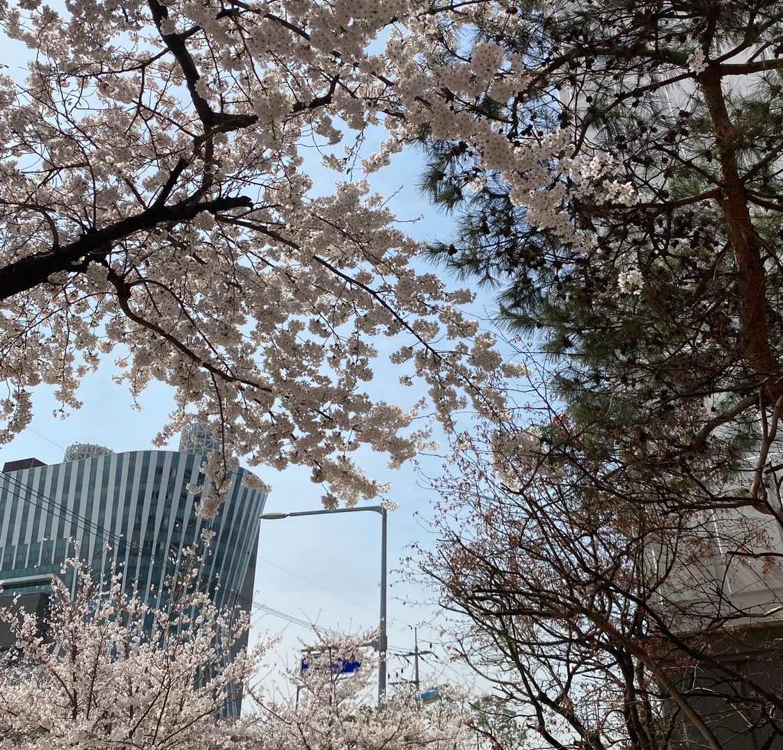 포스트 썸네일 4555