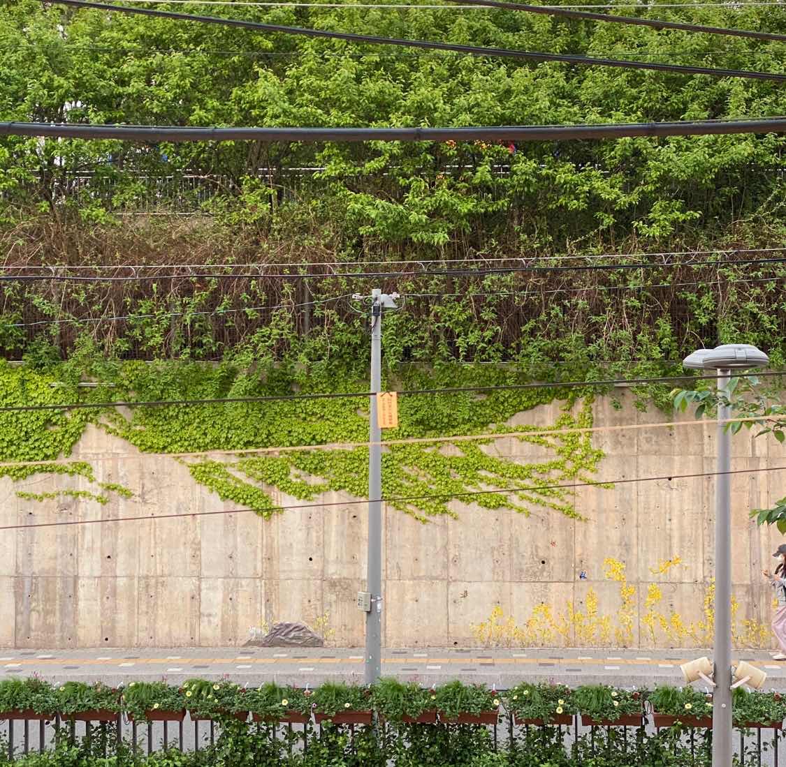 포스트 썸네일 5206