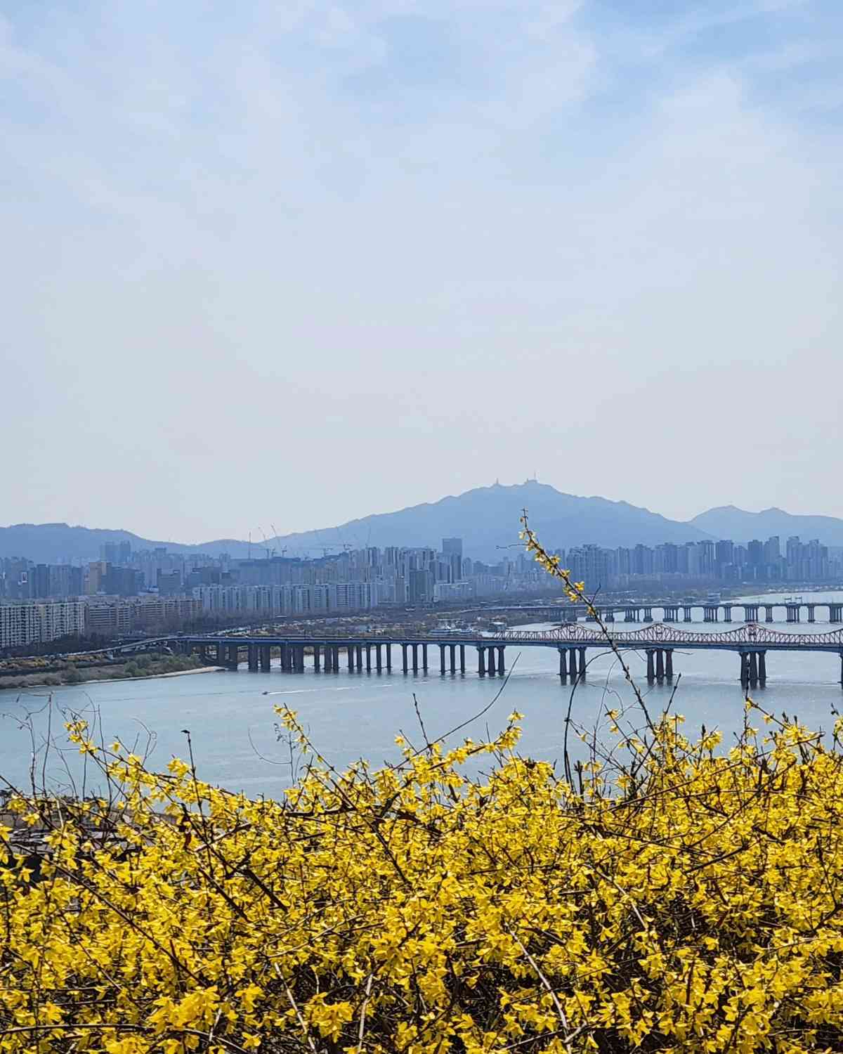 포스트 썸네일 4564