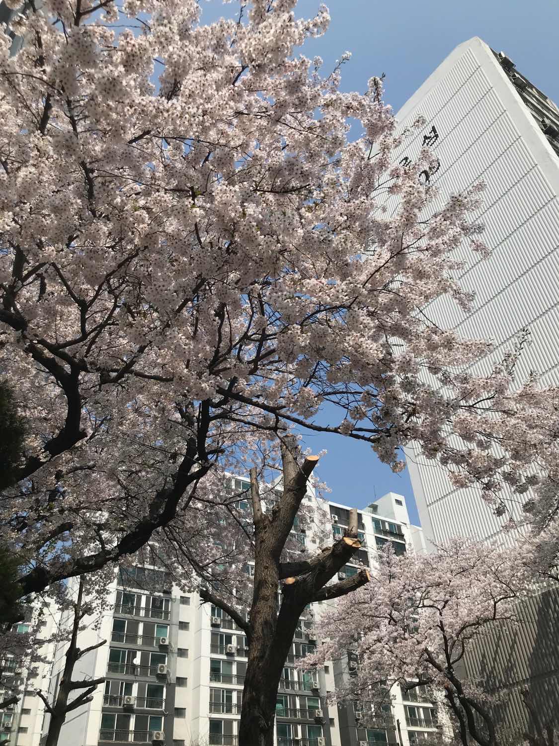 포스트 썸네일 5227