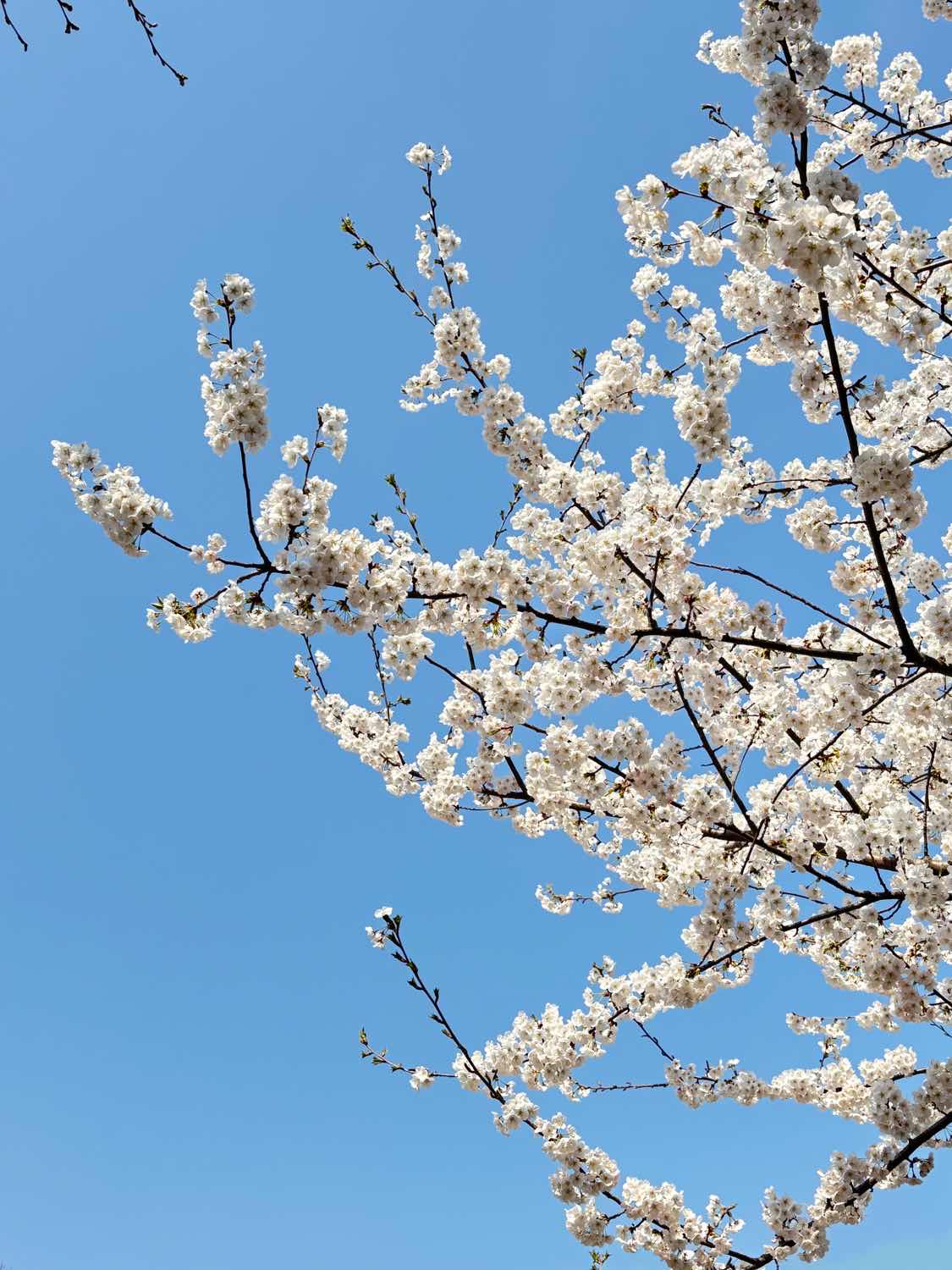 포스트 썸네일 4578