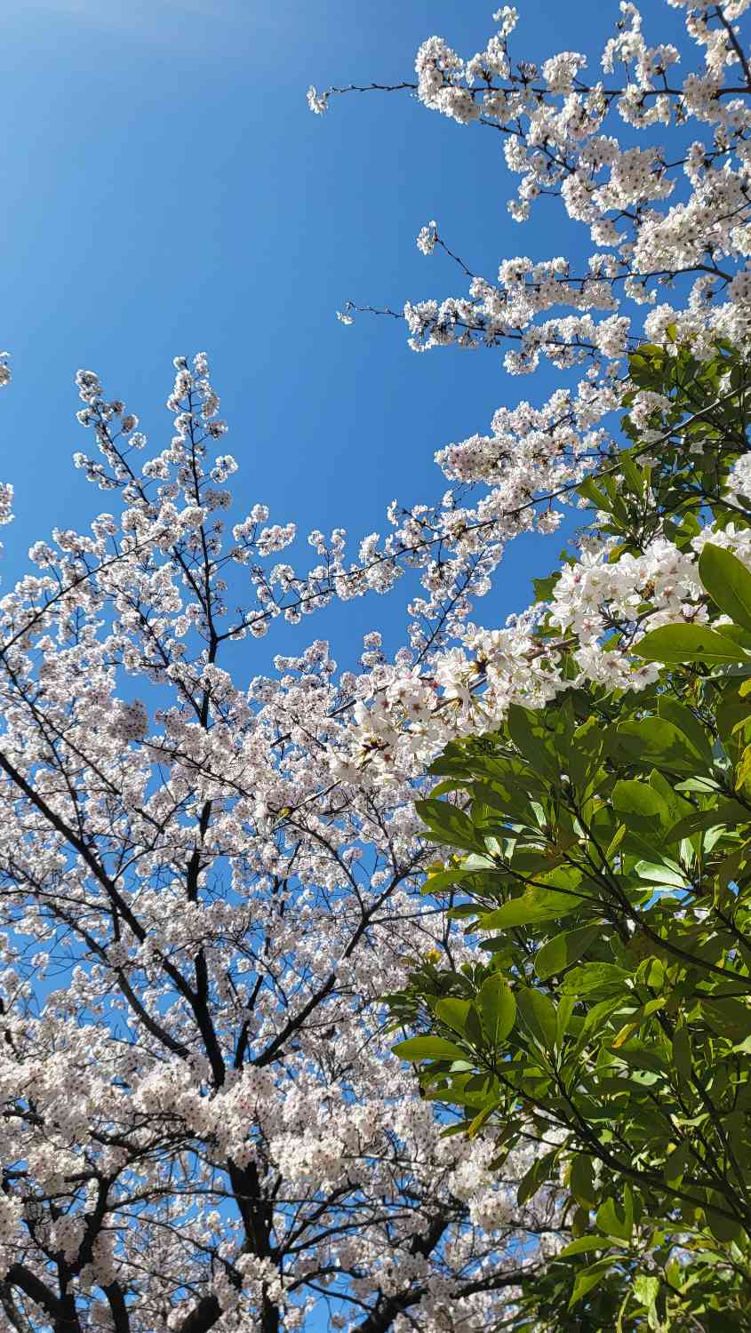 포스트 썸네일 4559