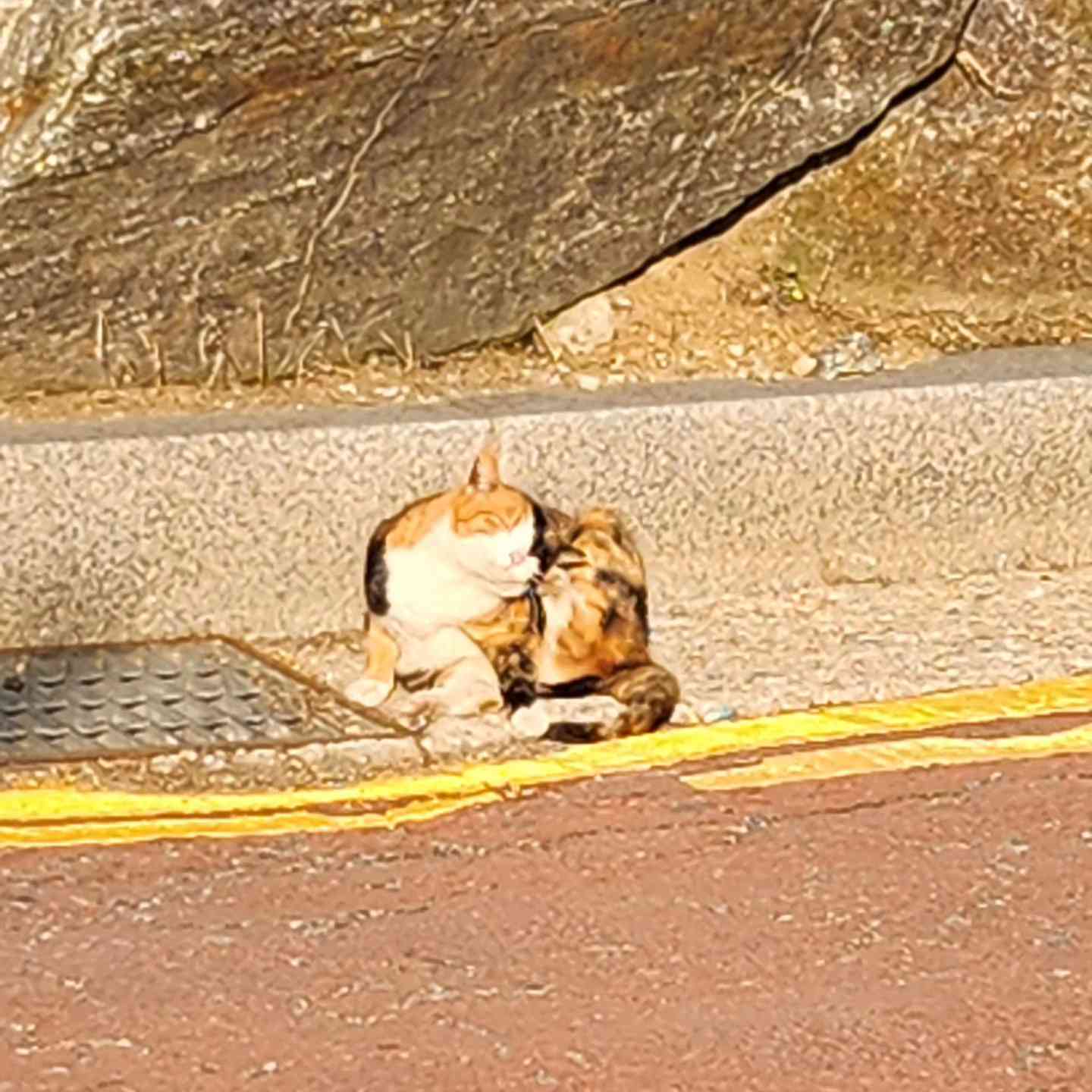 포스트 썸네일 3997