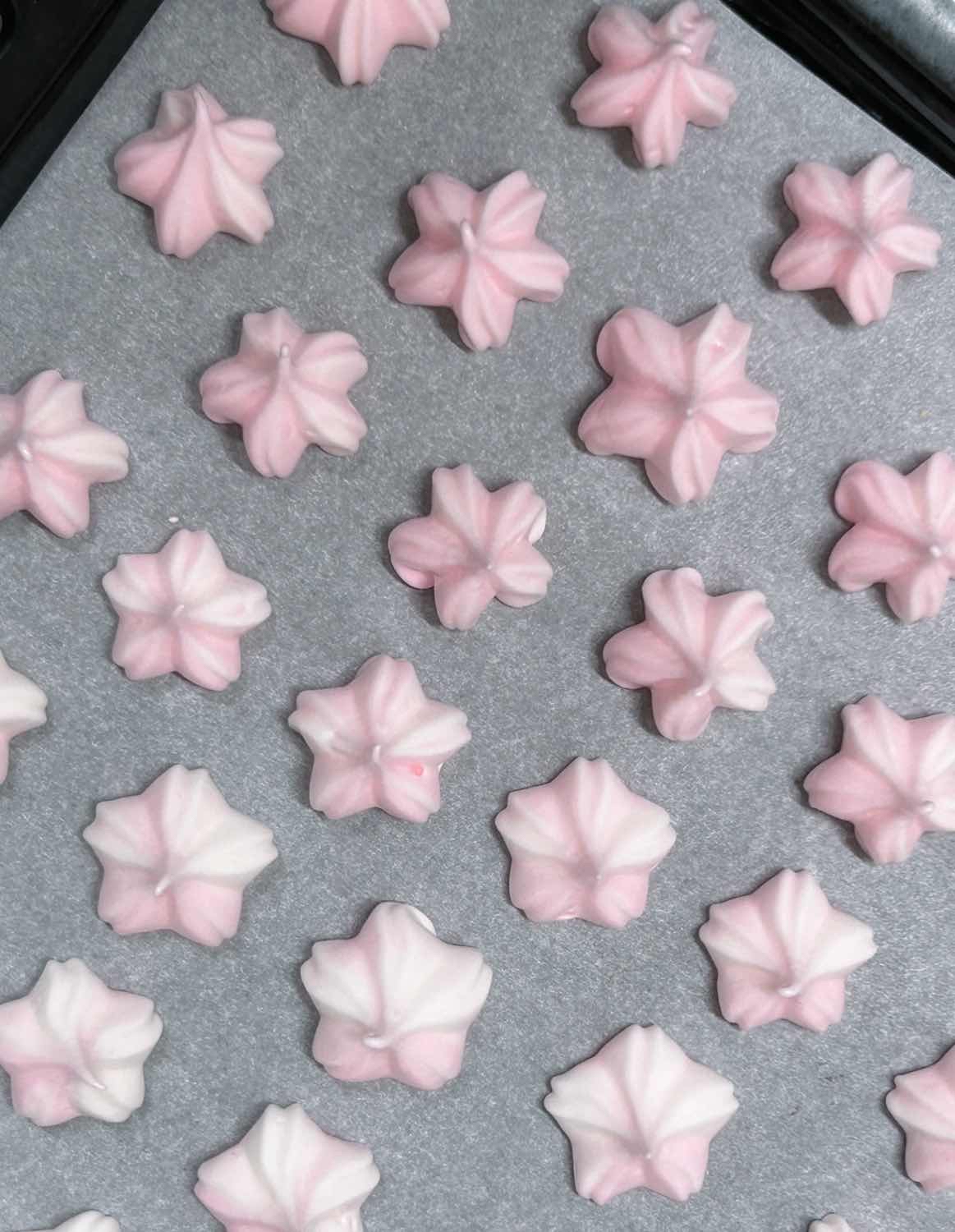 ν¬μ€νΈ μΈλ€μΌ 4535