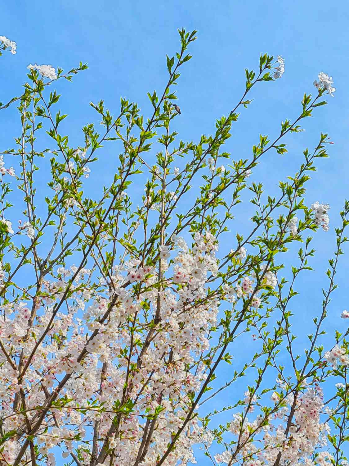 포스트 썸네일 5213