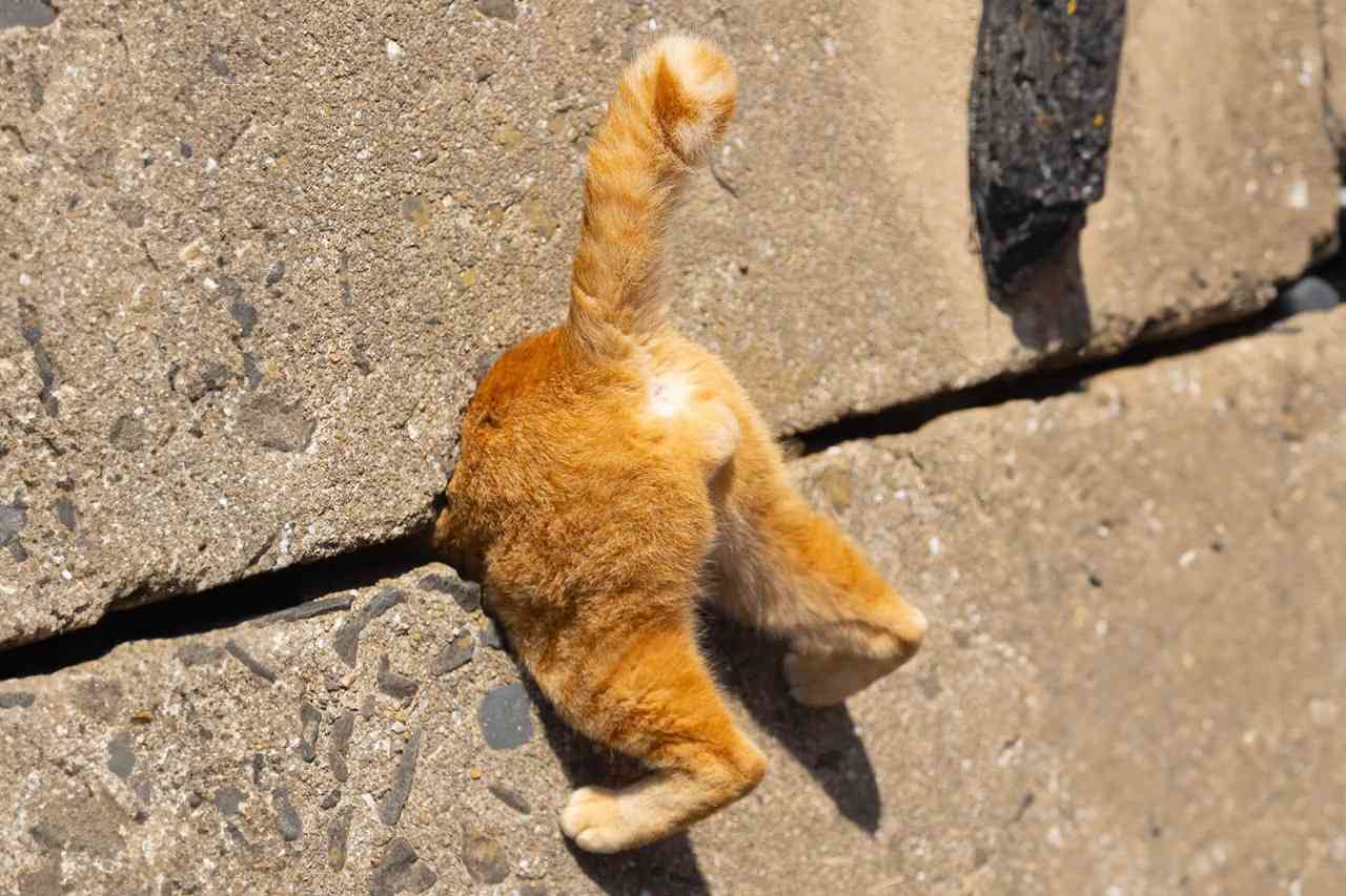 포스트 썸네일 5801