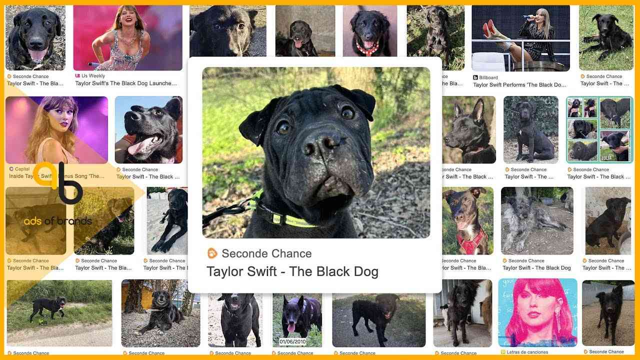 포스트 썸네일 7417