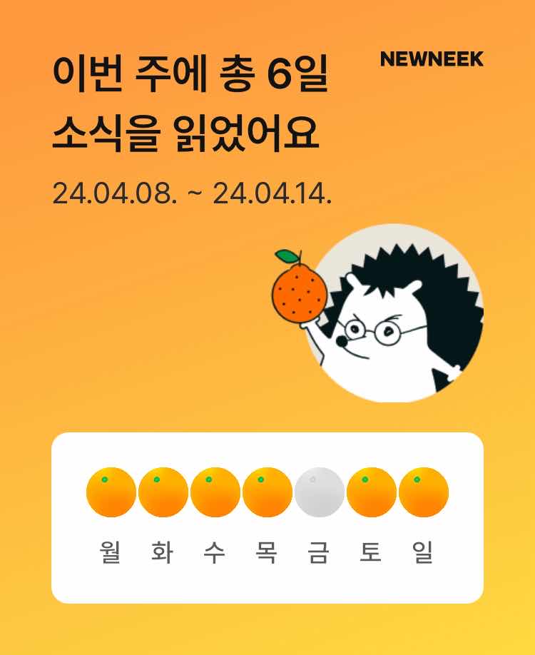 포스트 썸네일 4981