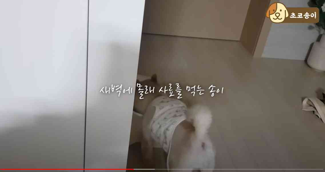 ํฌ์คํธ ์ธ๋ค์ผ 6227