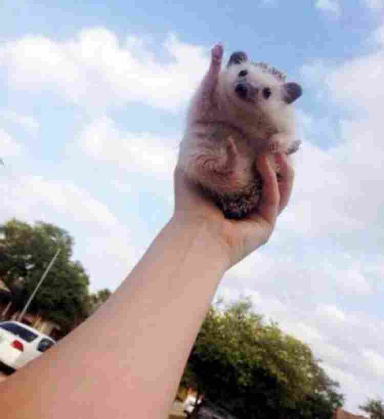 ν¬μ€νΈ μΈλ€μΌ 94