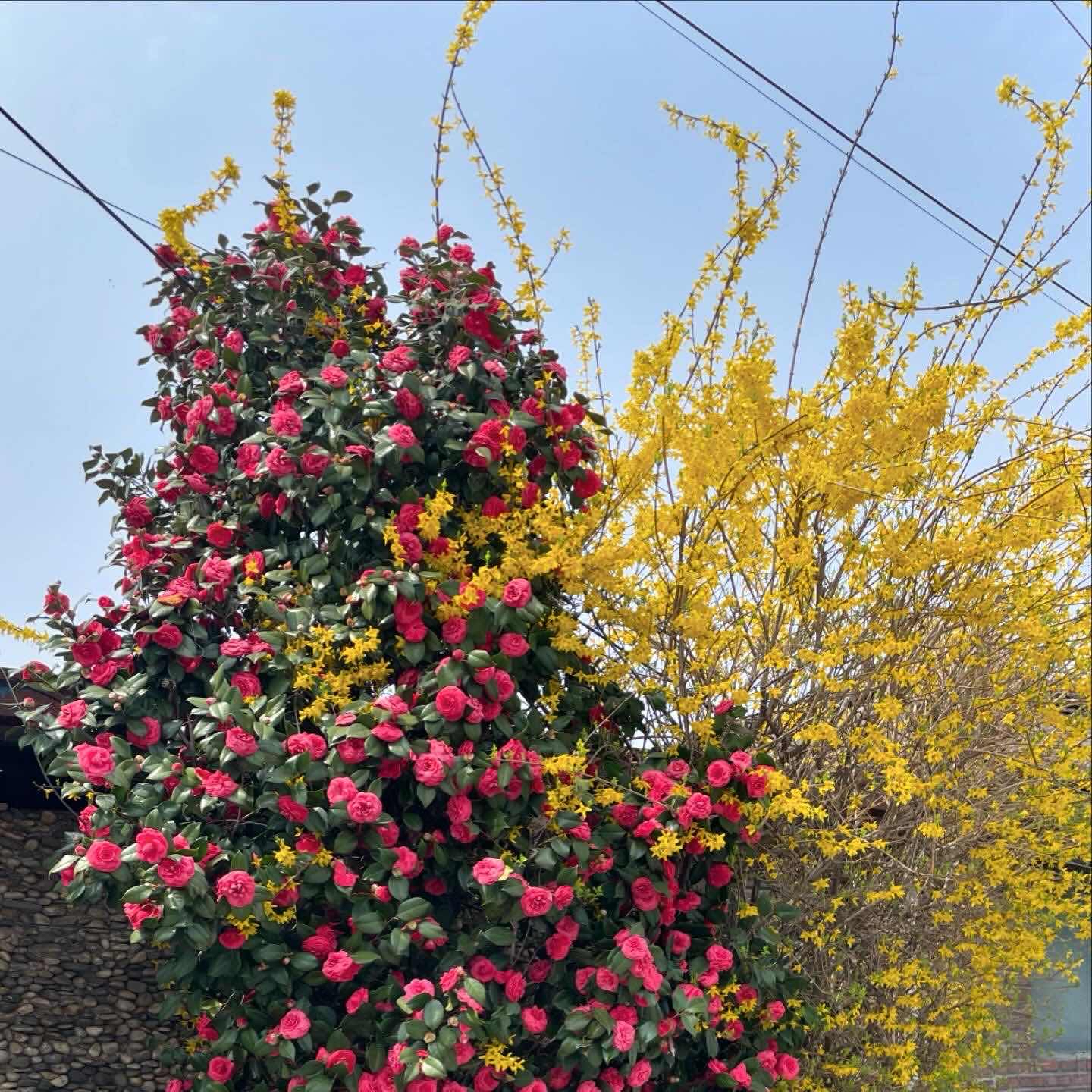 포스트 썸네일 4590