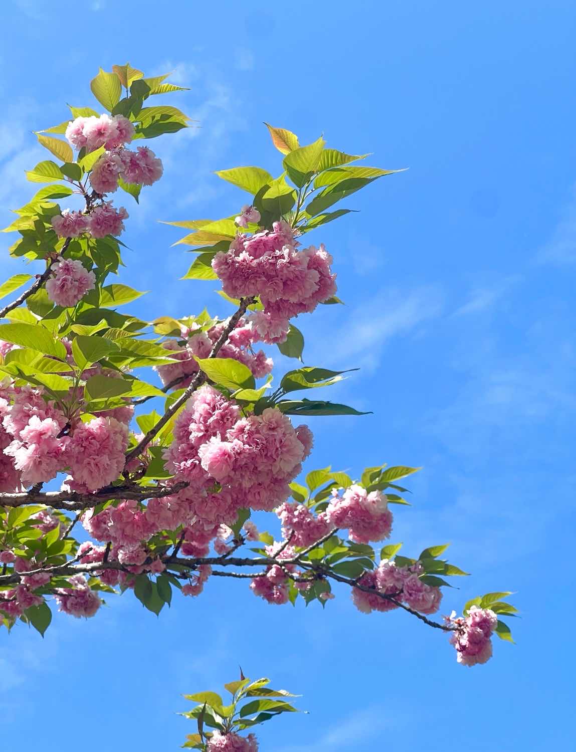 포스트 썸네일 5223