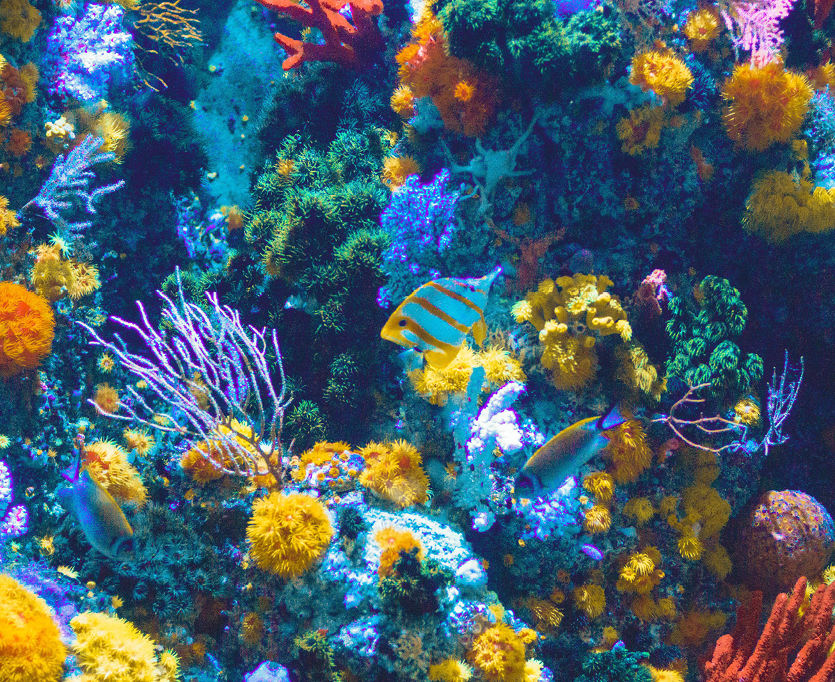 바다 지킬 약속은 돌아오는 거야