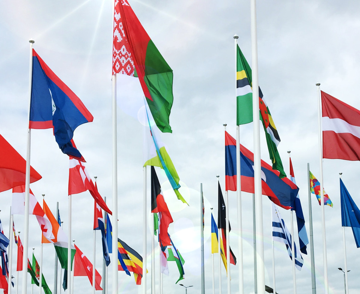 세금, 이제 못 피할 걸?