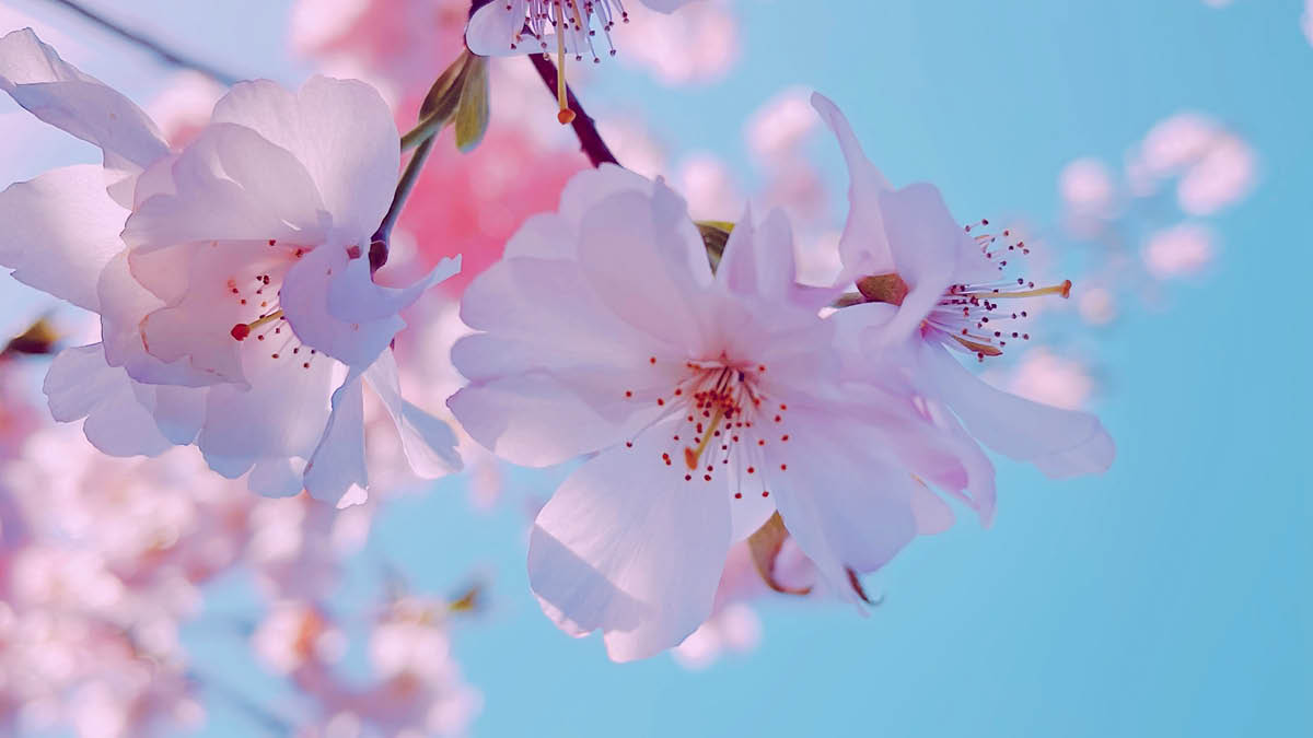 기후위기 시대의 지역축제