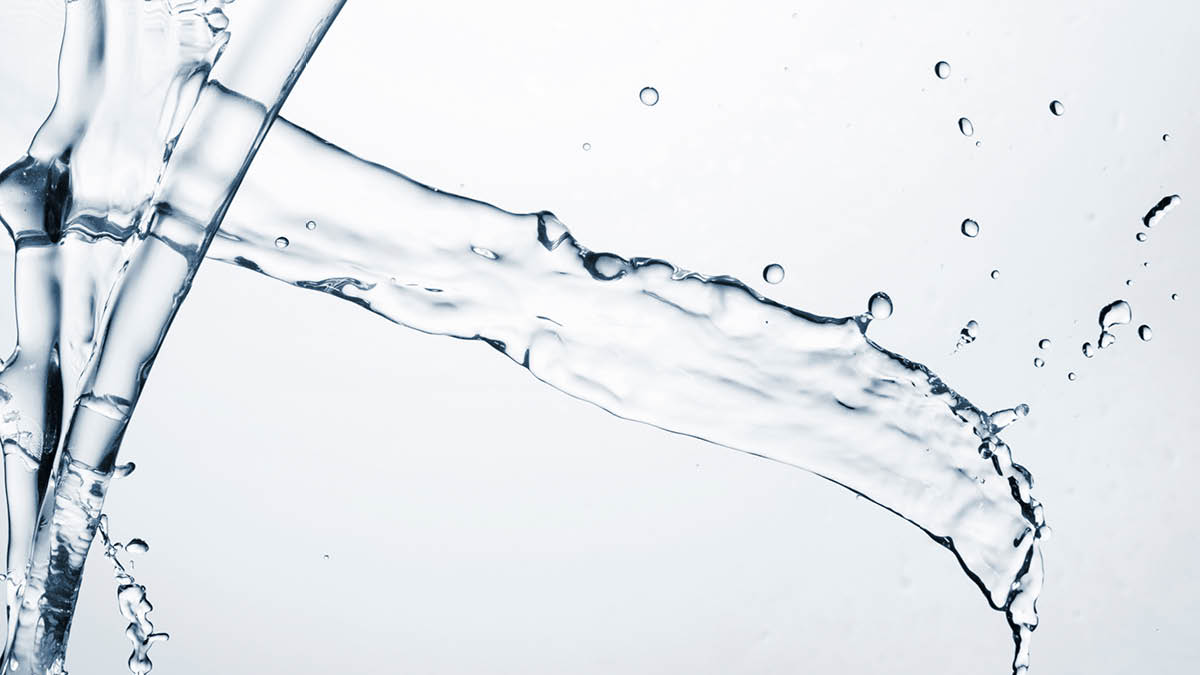 n개의 반짝반짝한 특기 ✨