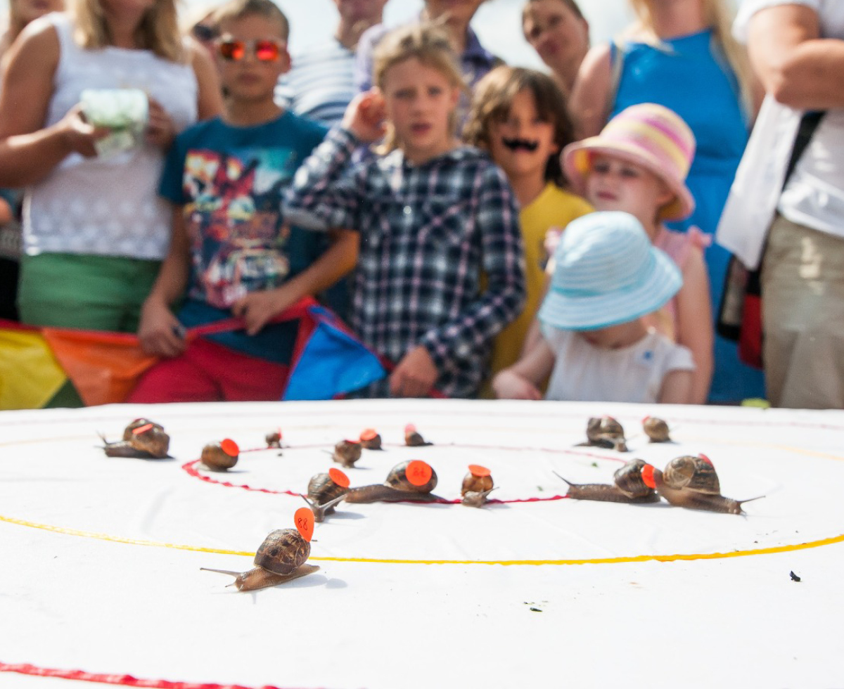 느려서 더 치열한 🐌