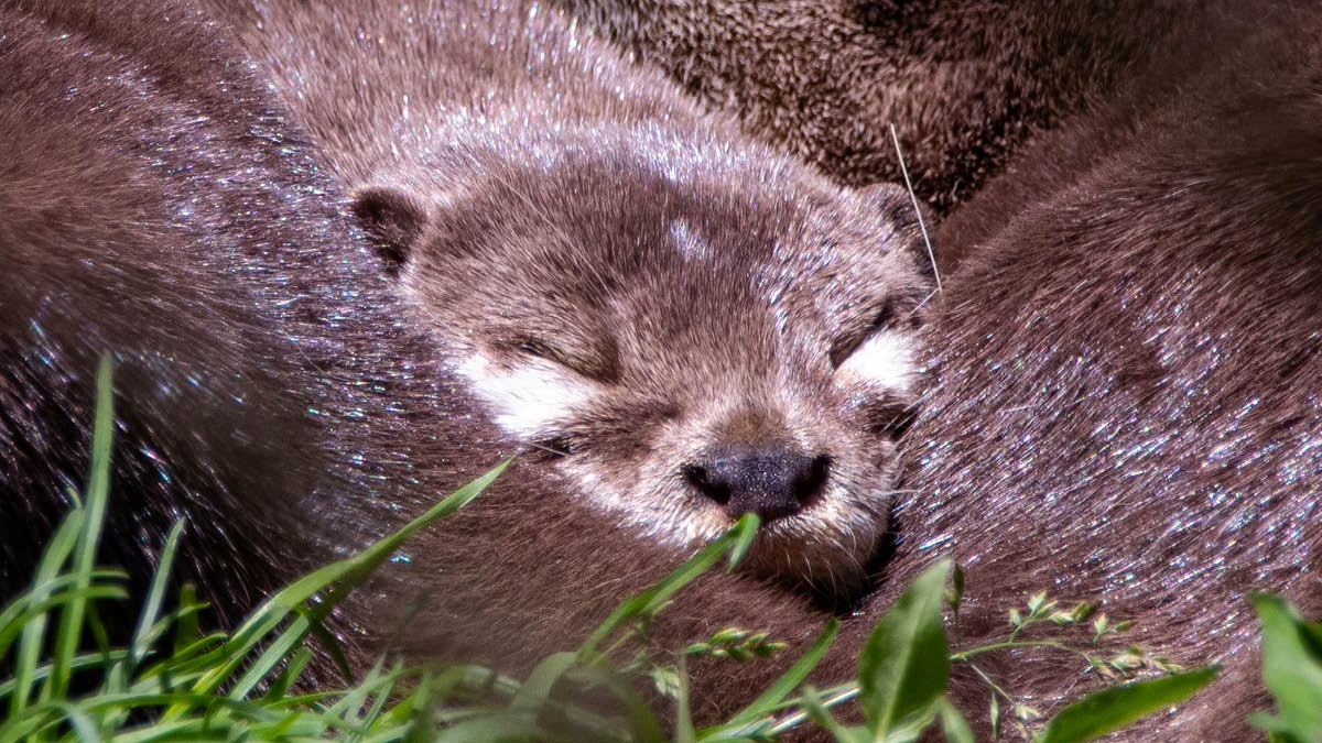 우리도 꿈꾸고 있어요 💤