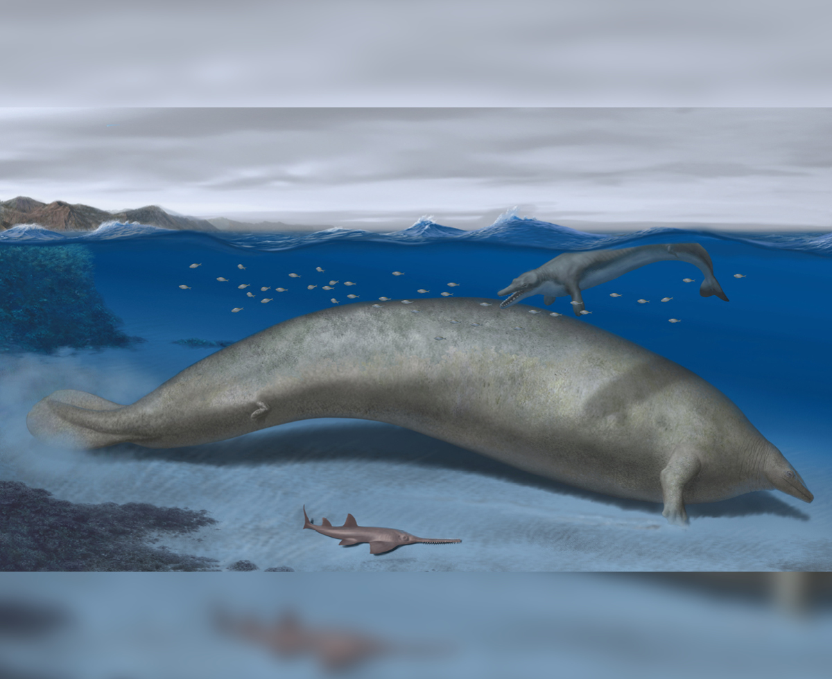 지구 역사상 가장 큰 동물