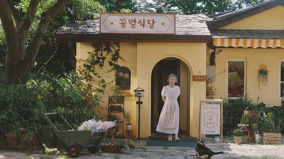 꿀벌을 살리는 우리는 🐝