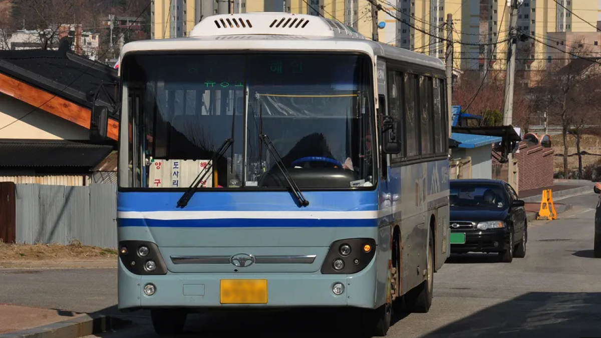 달려줘, 농어촌버스 🚌