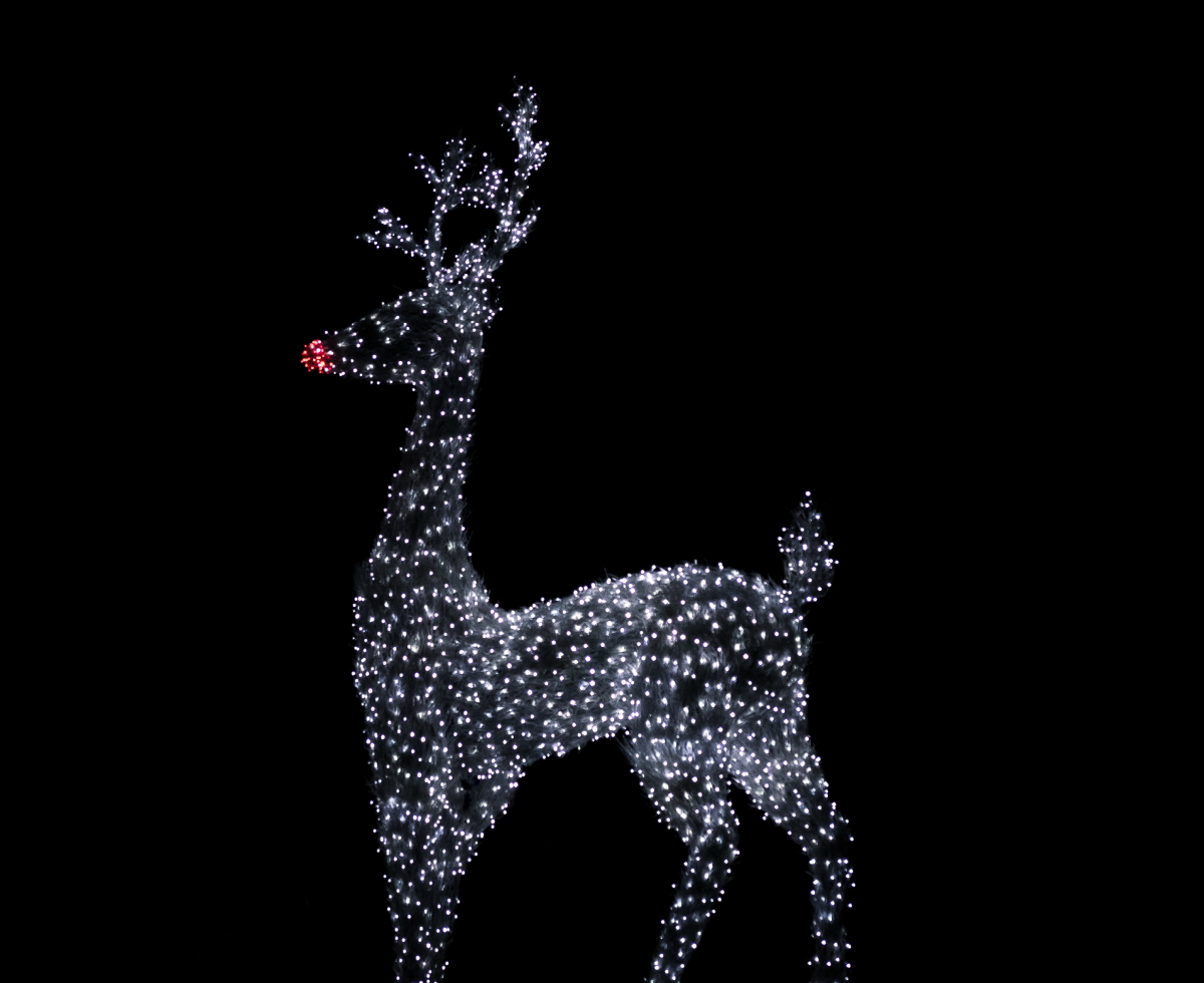 코코코 레드 코의 이유 🔴