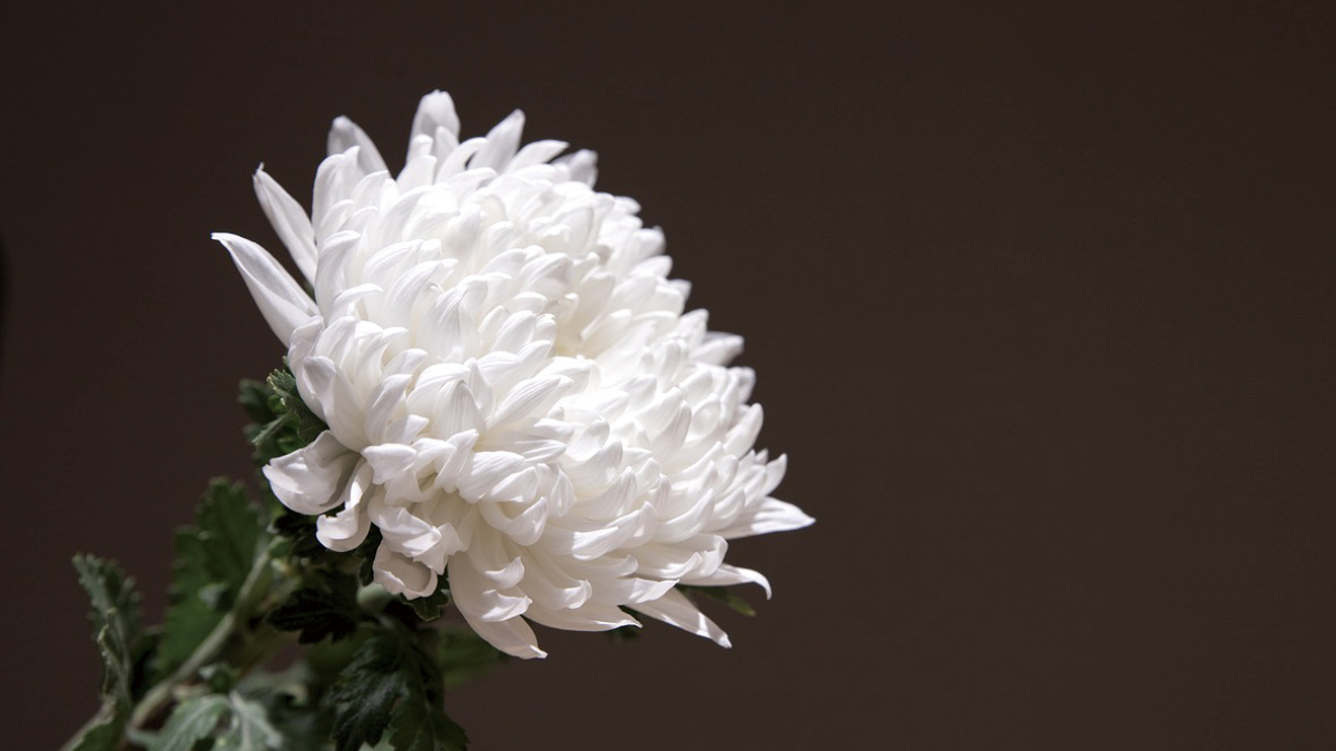 IM N. COVER STORY 3: 10.29 참사 1년